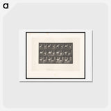 アートポストカード-Fallow Deer Running
 - エドワード マイブリッジ Postcard.