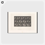 アートポストカード-Fallow Deer Running
 - エドワード マイブリッジ Postcard.