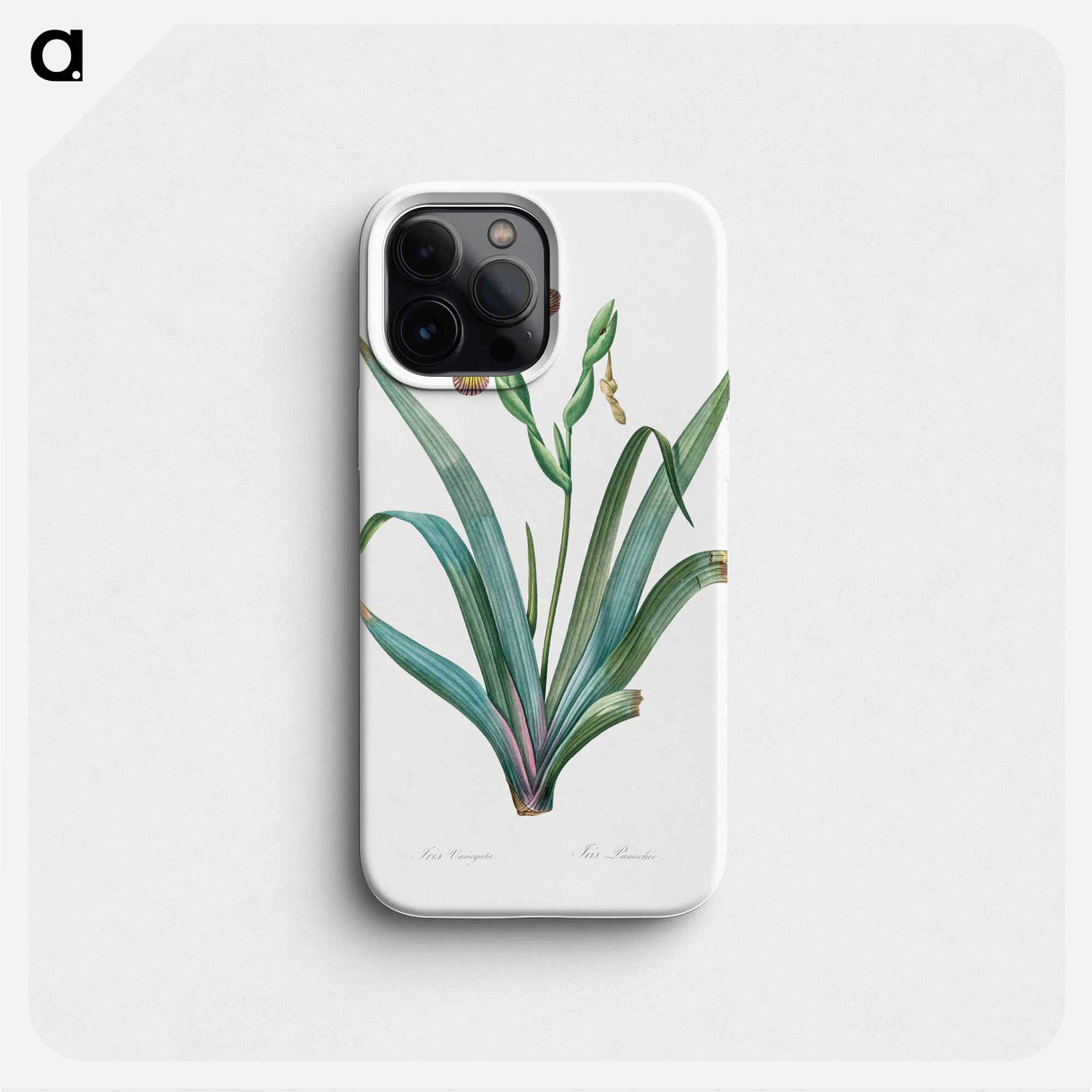 Hungarian iris illustration - ピエール ジョゼフ ルドゥーテ Phone Case.