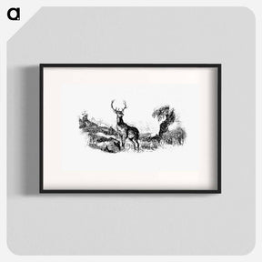 アートポスター-Wild Deer
 - 大英図書館 Poster.