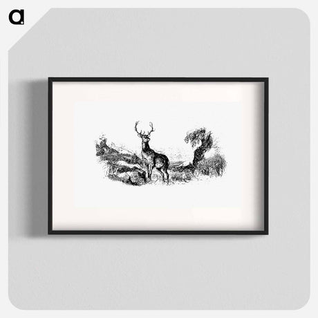 アートポスター-Wild Deer
 - 大英図書館 Poster.