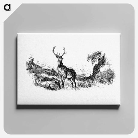 アートパネル-Wild Deer
 - 大英図書館 Canvas.