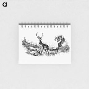 アートメモ帳-Wild Deer
 - 大英図書館 Memo.