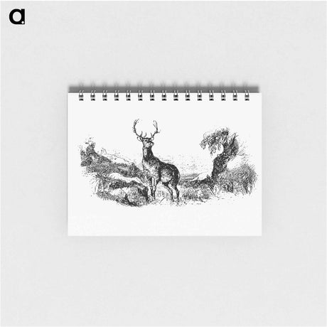 アートメモ帳-Wild Deer
 - 大英図書館 Memo.