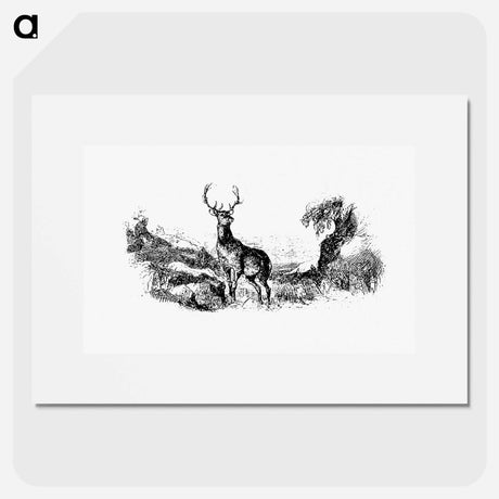 アートポスター-Wild Deer
 - 大英図書館 Poster.