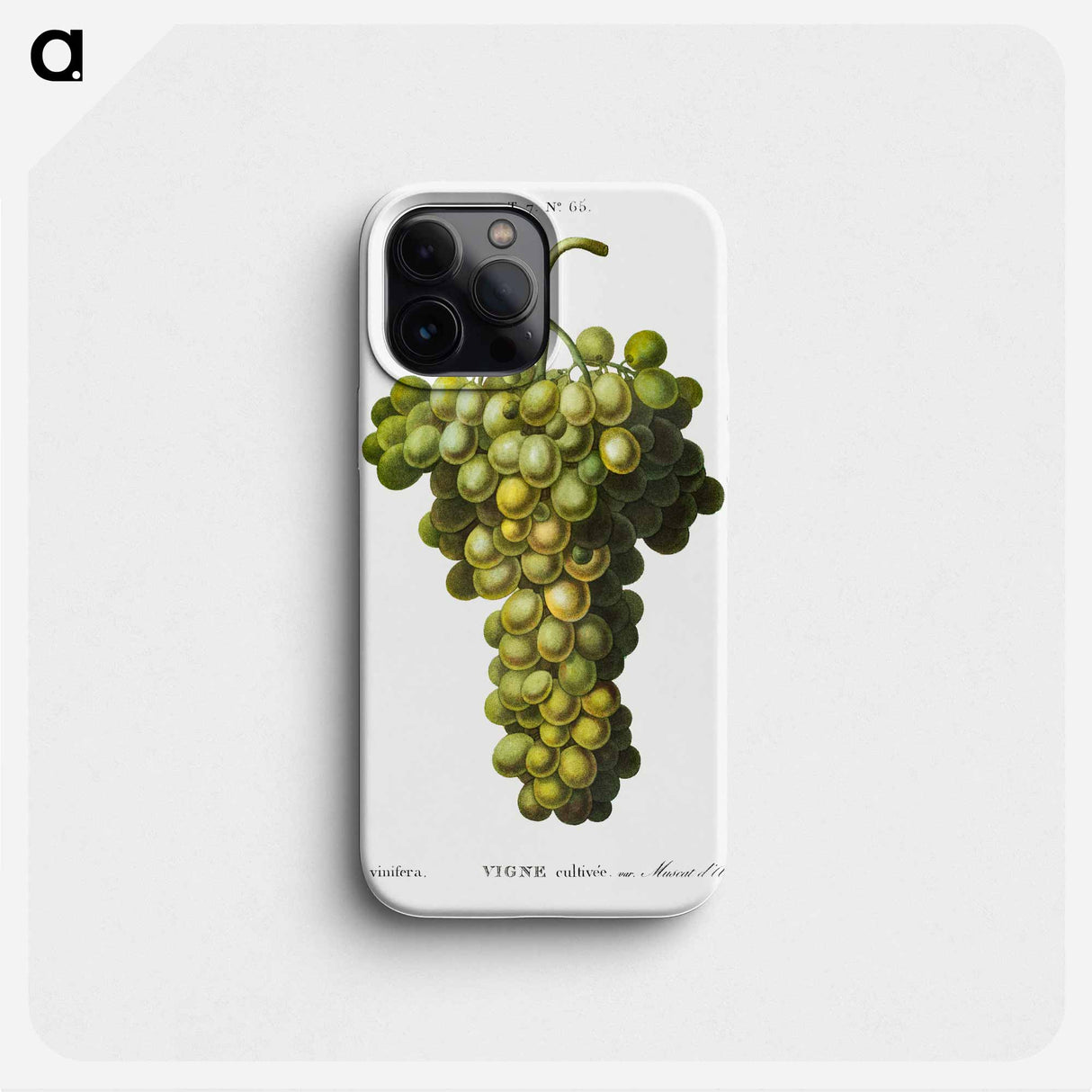 Vitis vinifera (Muscat blanc) - Pierre Joseph Redouté Phone Case.