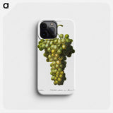 Vitis vinifera (Muscat blanc) - Pierre Joseph Redouté Phone Case.