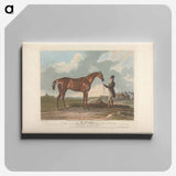 アートパネル-St. Giles. Winner of the Derby Stakes at Epsom
 - イェール大学アートギャラリー Canvas.