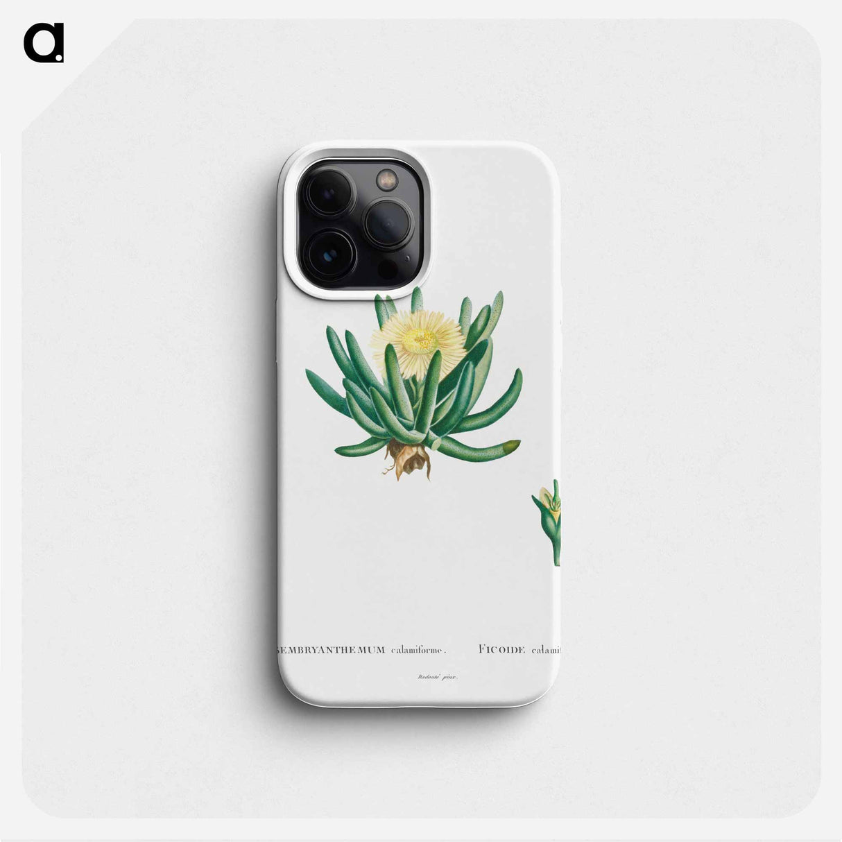 Mesembryanthemum Linguiforme - Pierre Joseph Redouté Phone Case.