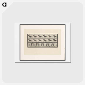 アートポストカード-Man on Horse
 - エドワード マイブリッジ Postcard.