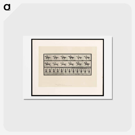 アートポストカード-Man on Horse
 - エドワード マイブリッジ Postcard.