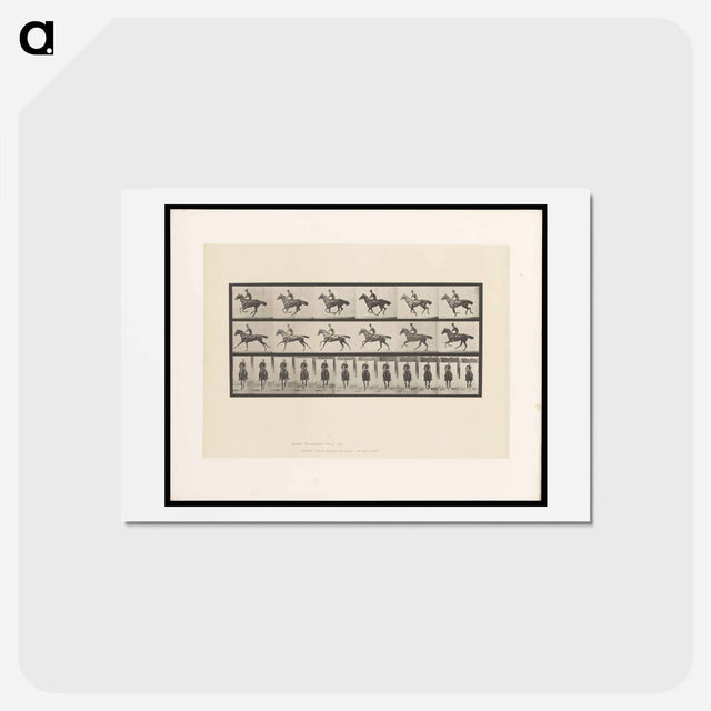 アートポストカード-Man on Horse
 - エドワード マイブリッジ Postcard.