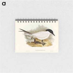 アートメモ帳-Great-footed Tern
 - ジョン グールド Memo.