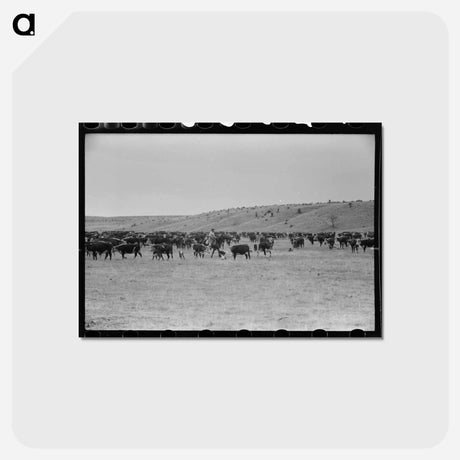 アートポストカード-Marfa Roundup
 - ラッセル リー Postcard.