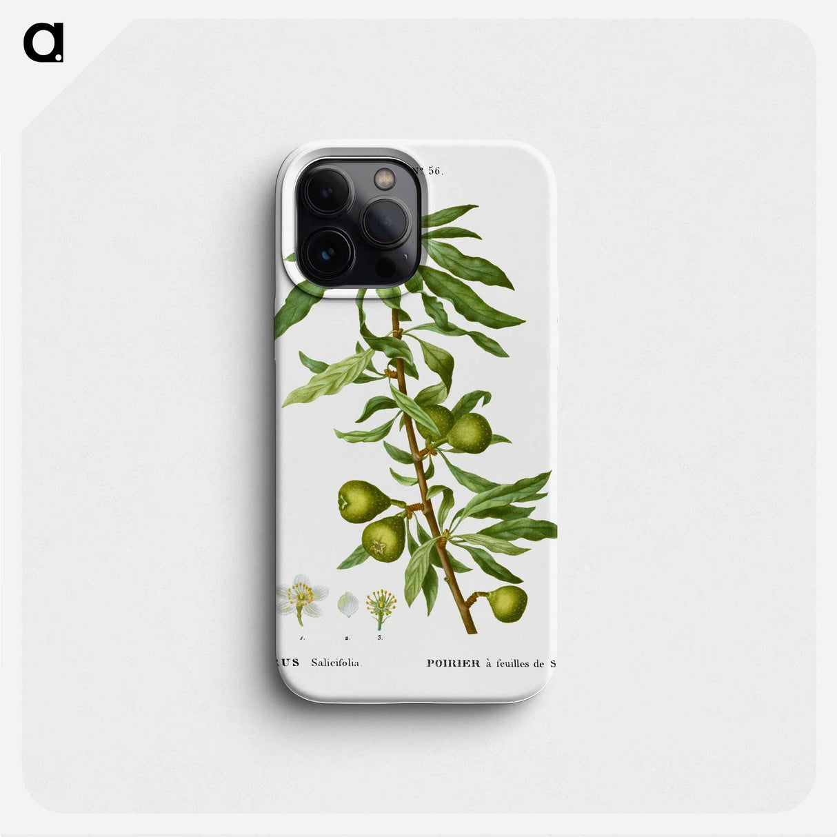 Willow-leaved pear, Pyrus salicifolia - Pierre Joseph Redouté Phone Case.