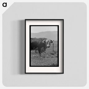 アートポスター-Bull's Head, Cruzen Ranch
 - ラッセル リー Poster.