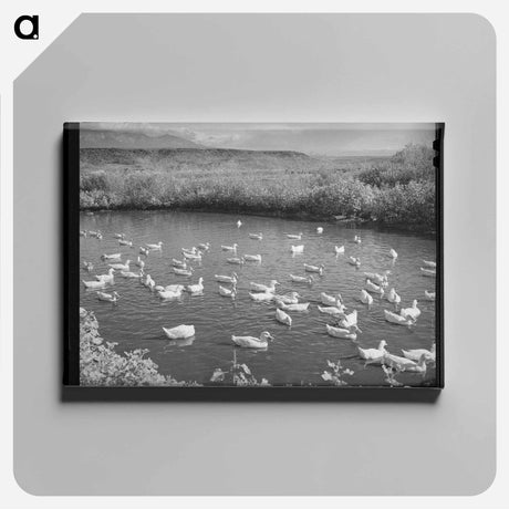アートパネル-Bull's Head, Cruzen Ranch
 - ラッセル リー Canvas.