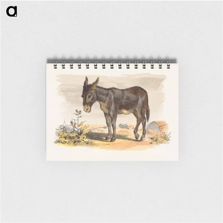 アートメモ帳-Donkey
 - ボストン公共図書館 Memo.