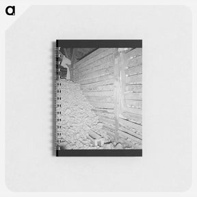 アートメモ帳-Potatoes in storage cellar at end of season - ドロテア ラング Memo.