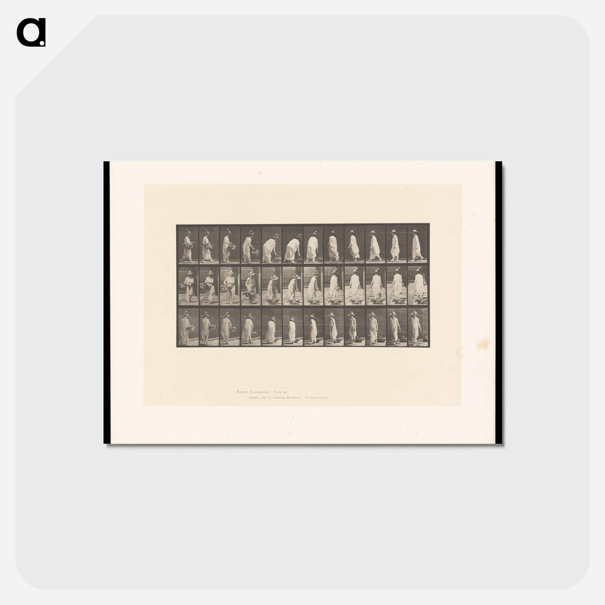 アートポストカード-Woman with Basket
 - エドワード マイブリッジ Postcard.