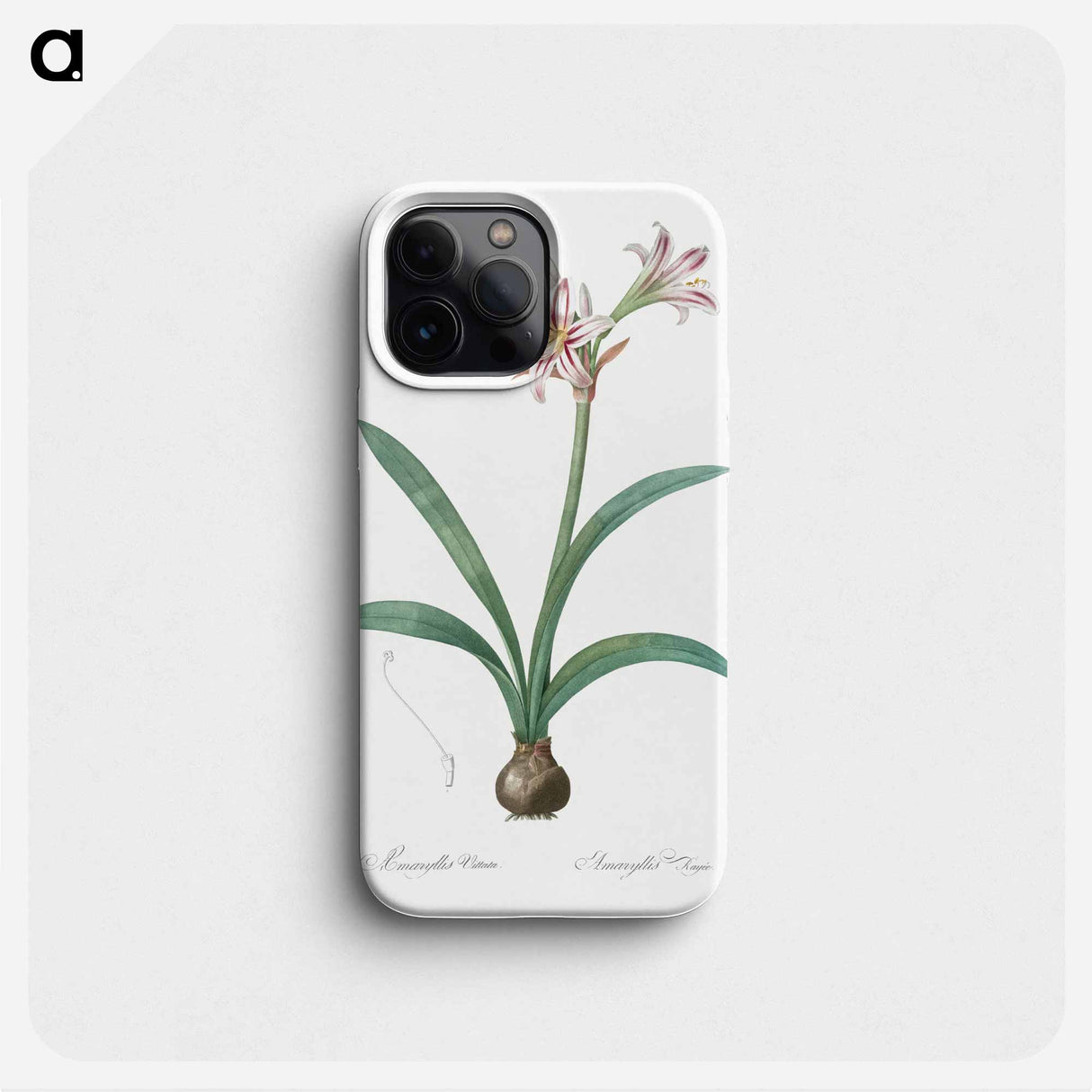 Amaryllis - ピエール ジョゼフ ルドゥーテ Phone Case.
