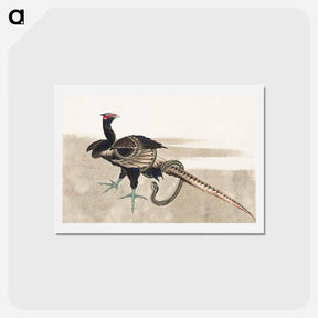 アートポストカード-Pheasant and Snake - 葛飾 北斎 Postcard.
