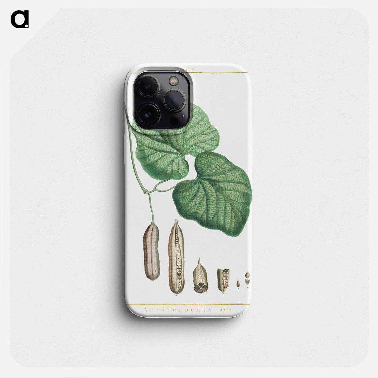 Aristolochia sipho - Pierre Joseph Redouté Phone Case.