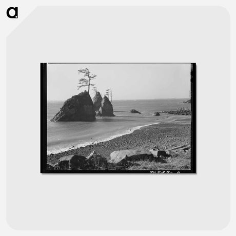 アートポストカード-Tillamook County Coast
 - ラッセル リー Postcard.