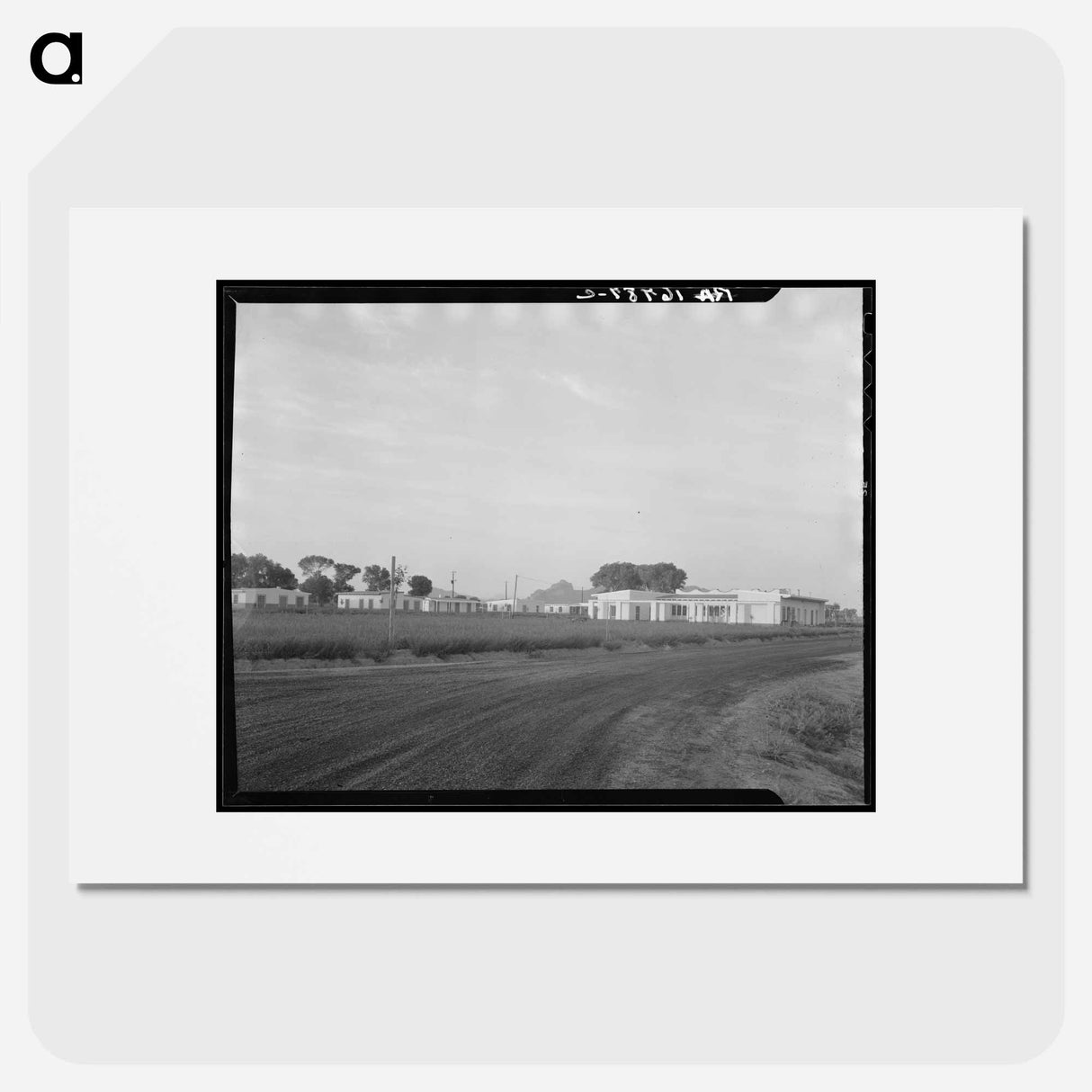 Untitled photo, possibly related to: View of Resettlement Administration's part-time farms. Glendale, Arizona - Dorothea Lange Poster.