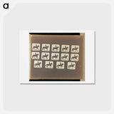 アートポストカード-Trotting
 - エドワード マイブリッジ Postcard.