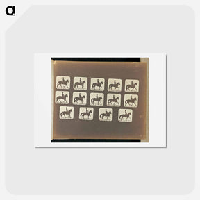 アートポストカード-Trotting
 - エドワード マイブリッジ Postcard.
