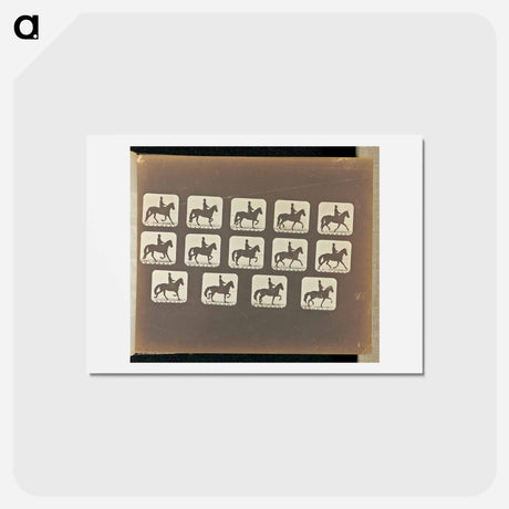 アートポストカード-Trotting
 - エドワード マイブリッジ Postcard.