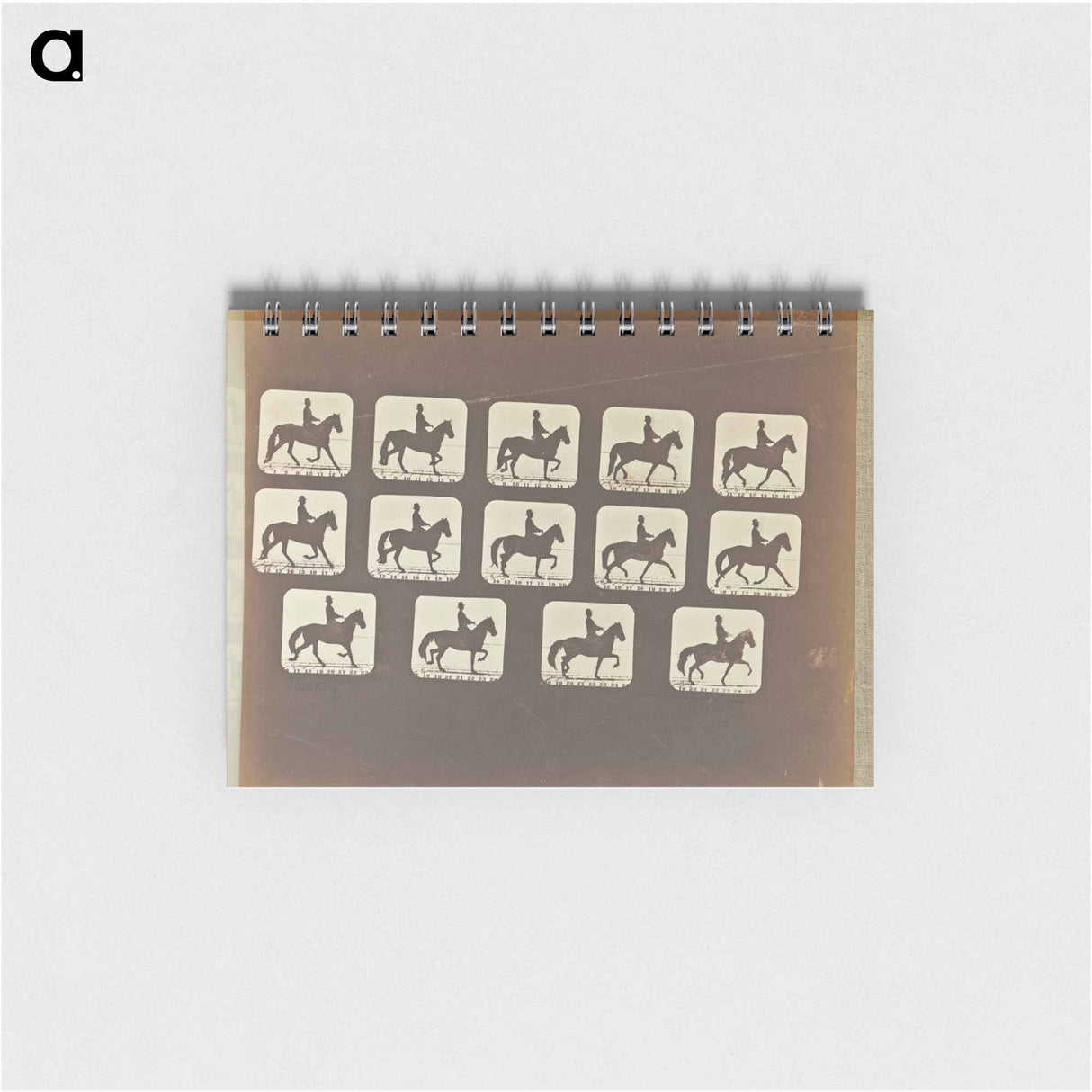 アートメモ帳-Trotting
 - エドワード マイブリッジ Memo.