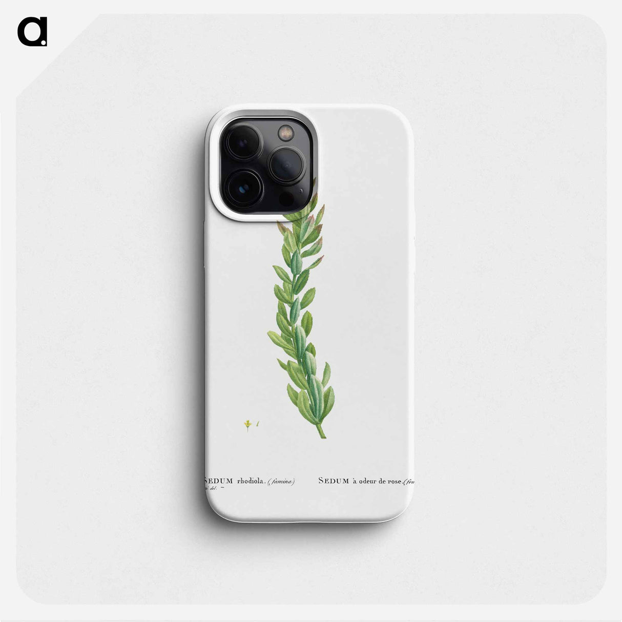 Rhodiola (Stonecrops) - Pierre Joseph Redouté Phone Case.