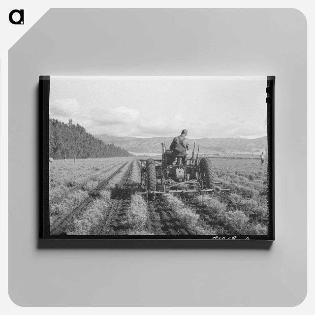 アートパネル-Harrowing at Dead Ox Flat
 - ラッセル リー Canvas.