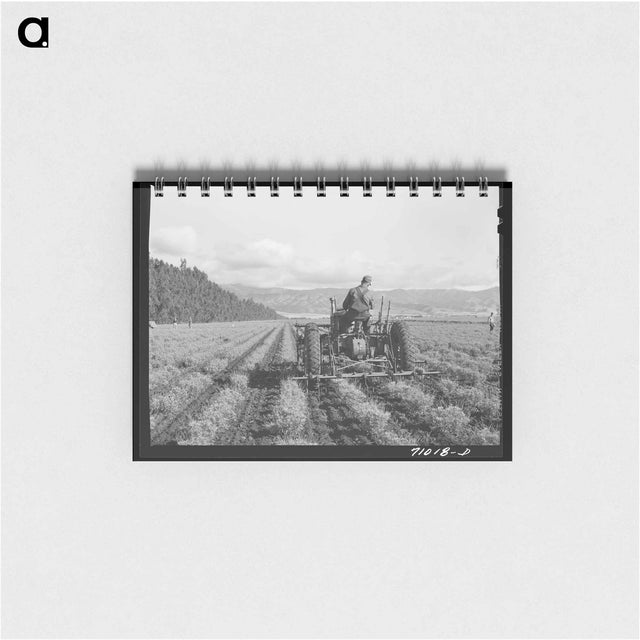 アートメモ帳-Harrowing at Dead Ox Flat
 - ラッセル リー Memo.