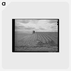 アートポストカード-Harrowing at Dead Ox Flat
 - ラッセル リー Postcard.