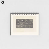 アートメモ帳-Parrot in Flight
 - エドワード マイブリッジ Memo.