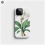 Spider lily illustration - ピエール ジョゼフ ルドゥーテ Phone Case.