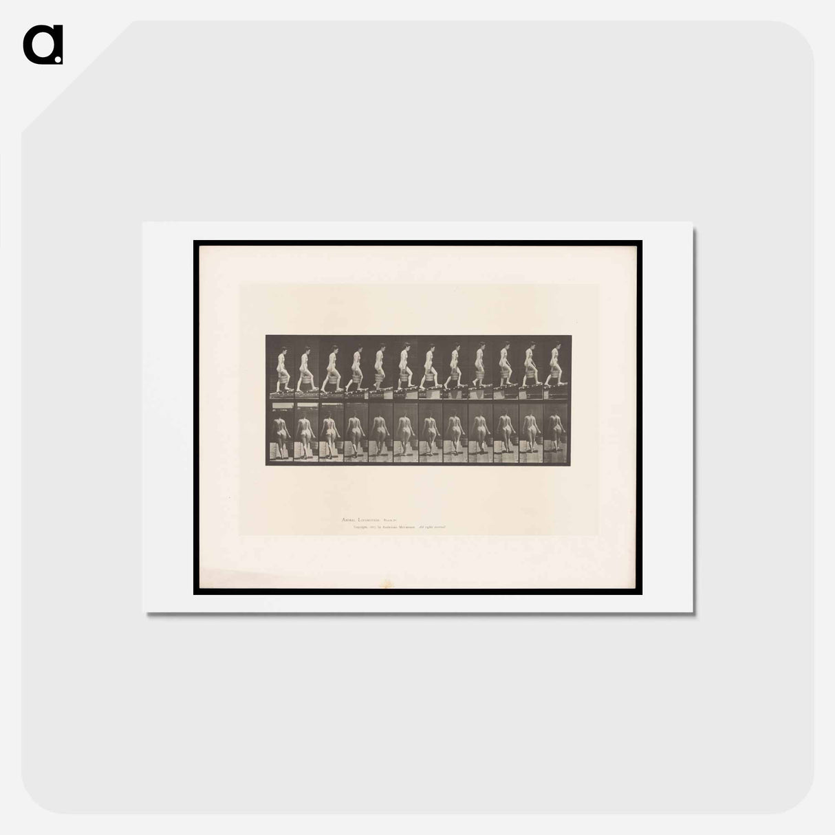 アートポストカード-Woman with Bucket
 - エドワード マイブリッジ Postcard.