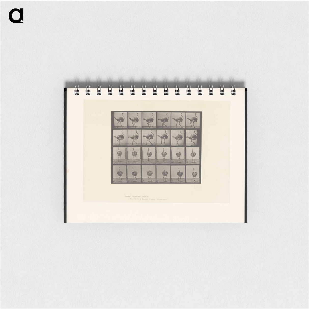 アートメモ帳-Walking Ostrich
 - エドワード マイブリッジ Memo.