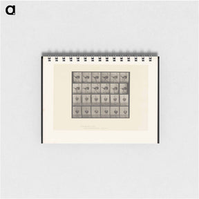 アートメモ帳-Walking Ostrich
 - エドワード マイブリッジ Memo.