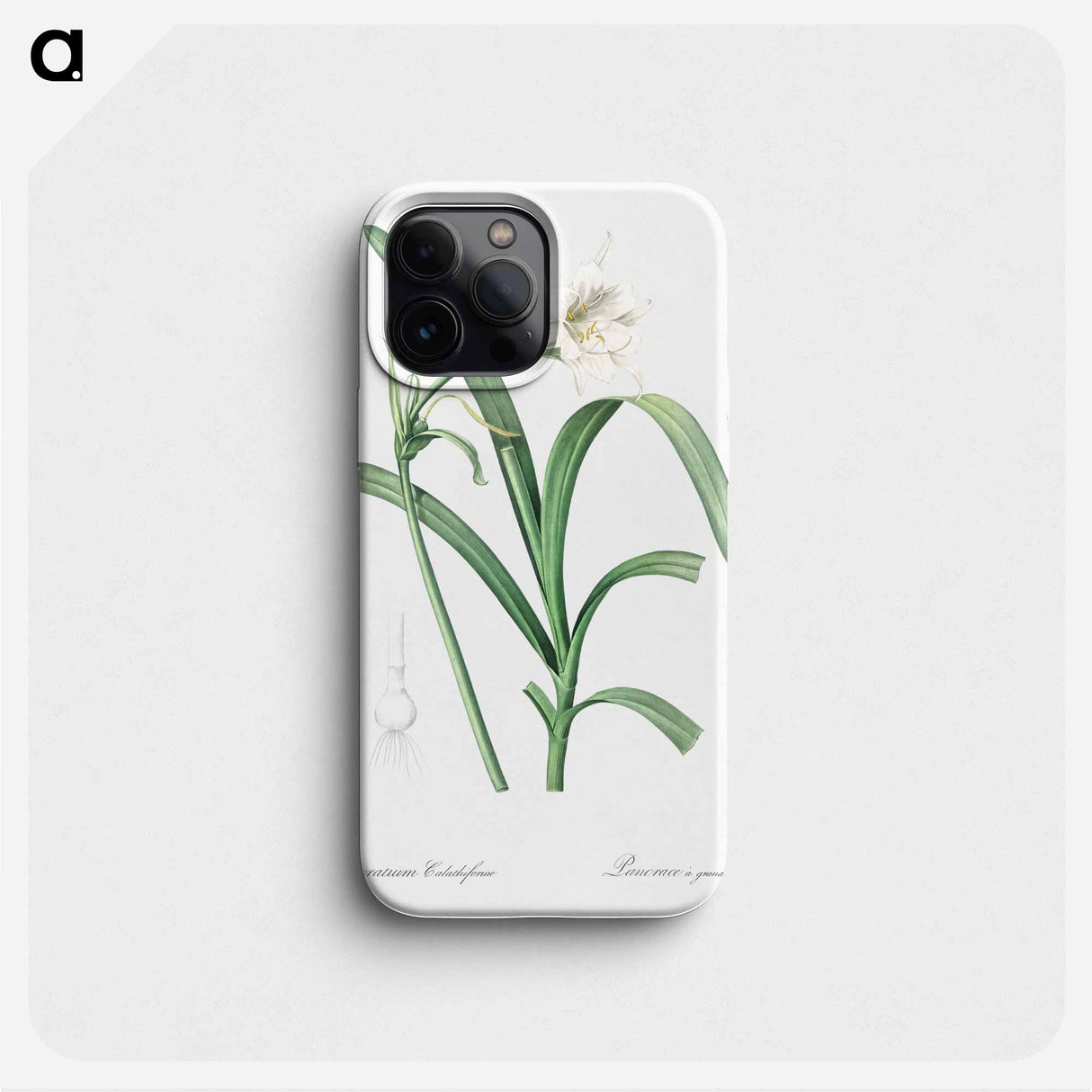 Peruvian daffodil illustration - Pierre Joseph Redouté Phone Case.