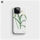 Peruvian daffodil illustration - ピエール ジョゼフ ルドゥーテ Phone Case.