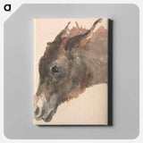 アートパネル-Head of a Donkey
 - イェール大学アートギャラリー Canvas.