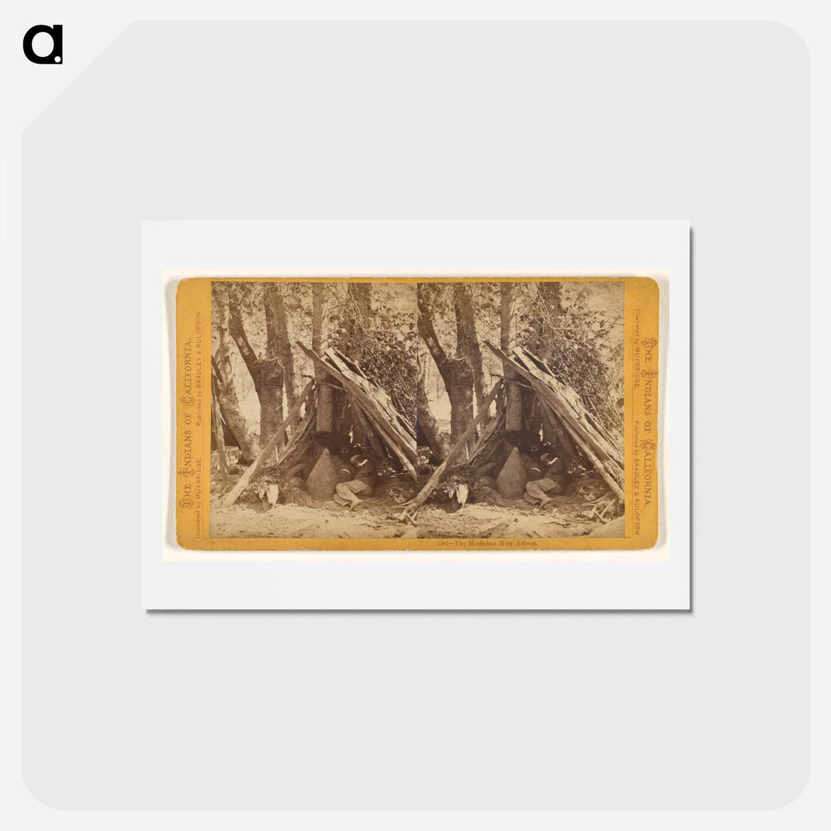 アートポストカード-The Medicine Man Asleep
 - エドワード マイブリッジ Postcard.