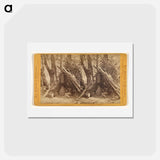 アートポストカード-The Medicine Man Asleep
 - エドワード マイブリッジ Postcard.