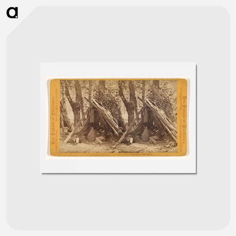 アートポストカード-The Medicine Man Asleep
 - エドワード マイブリッジ Postcard.