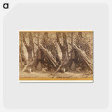 アートポストカード-The Medicine Man Asleep
 - エドワード マイブリッジ Postcard.