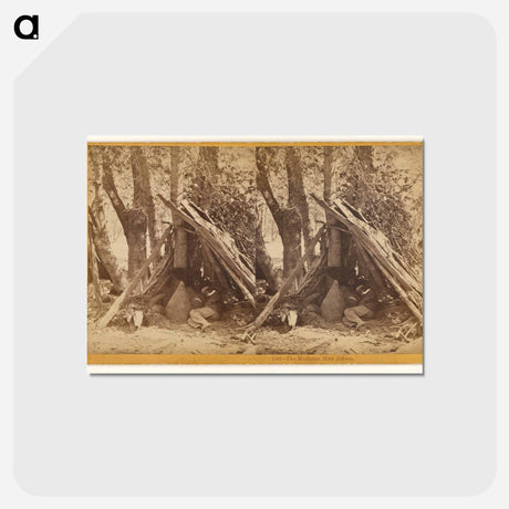アートポストカード-The Medicine Man Asleep
 - エドワード マイブリッジ Postcard.